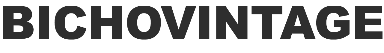 logo bichovintage
