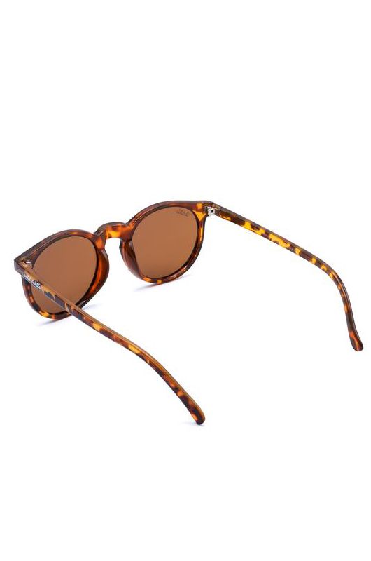 Wild Turtle Carey Brown Sunglasses - 5